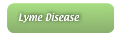    Lyme Disease